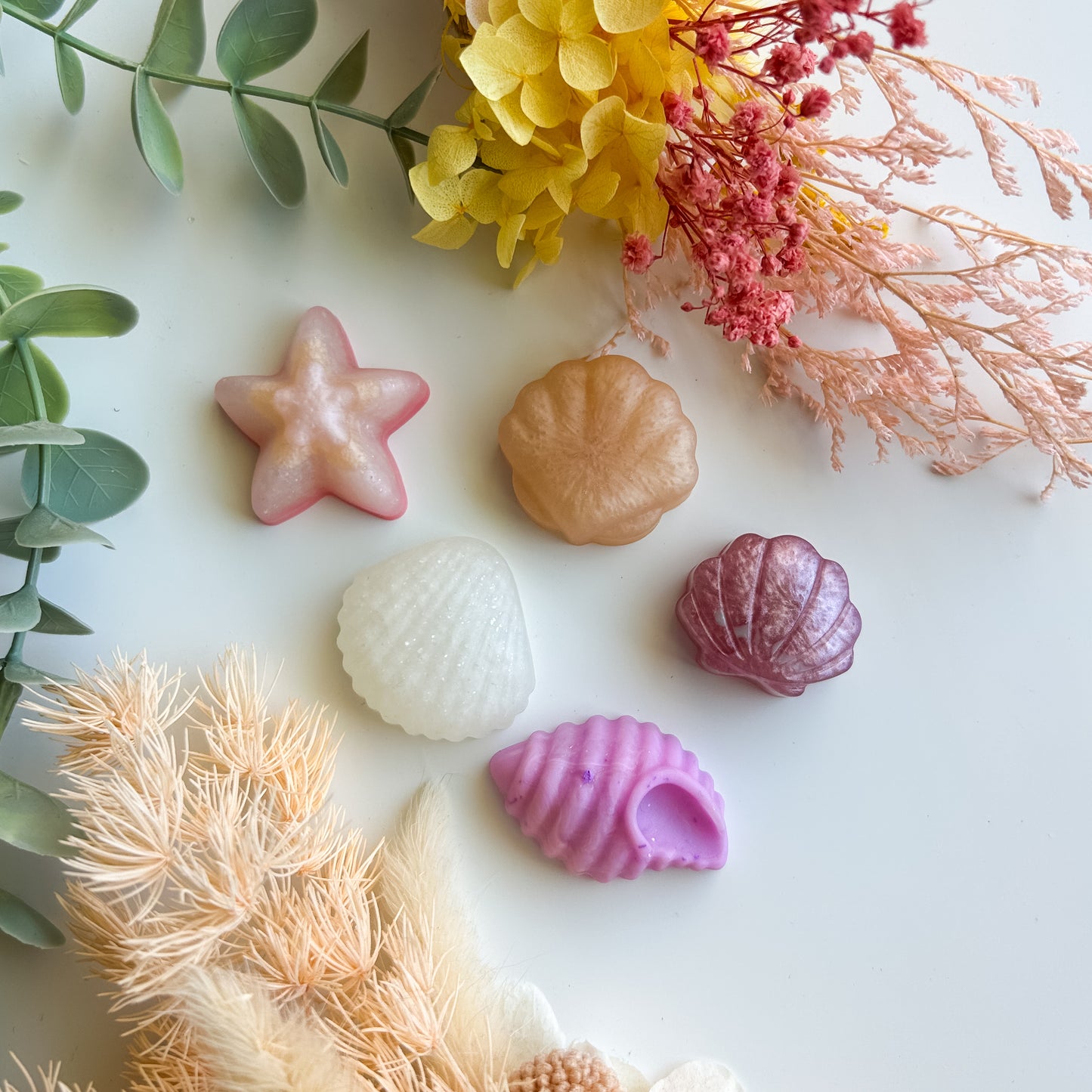 Shimmery Shells – Set of 5