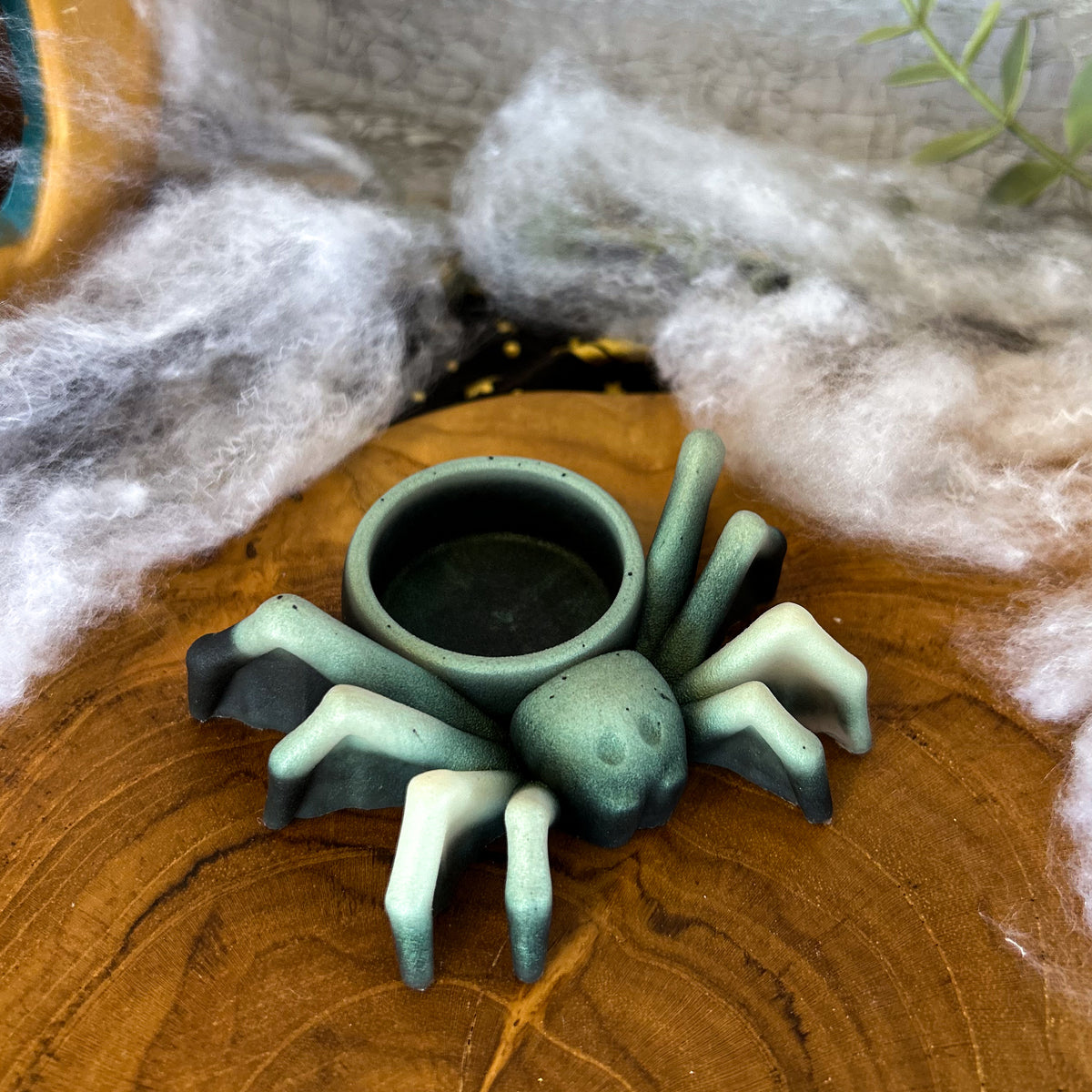 Spider Dish