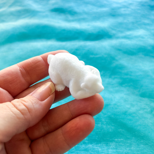 Polar Bear