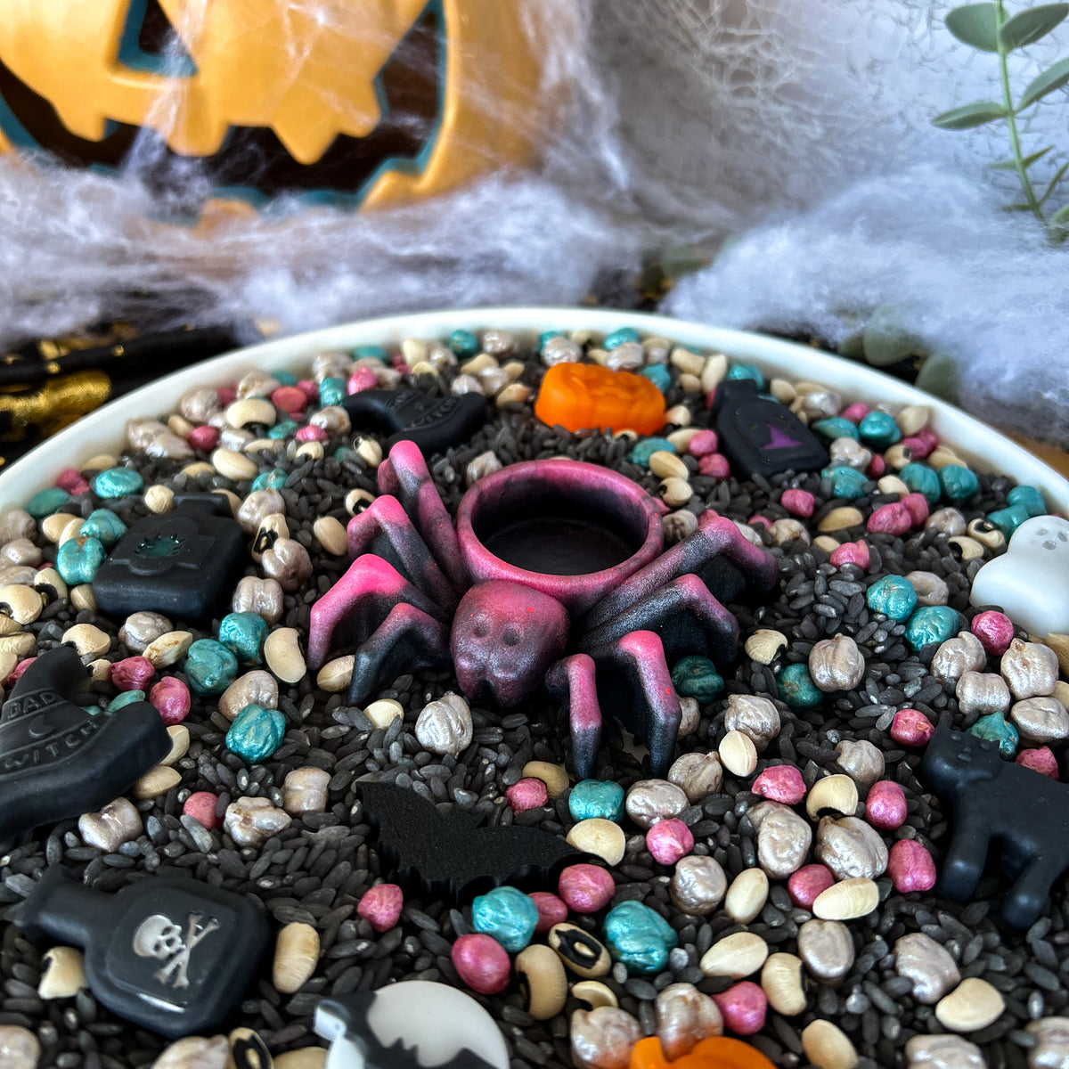 Spider Dish