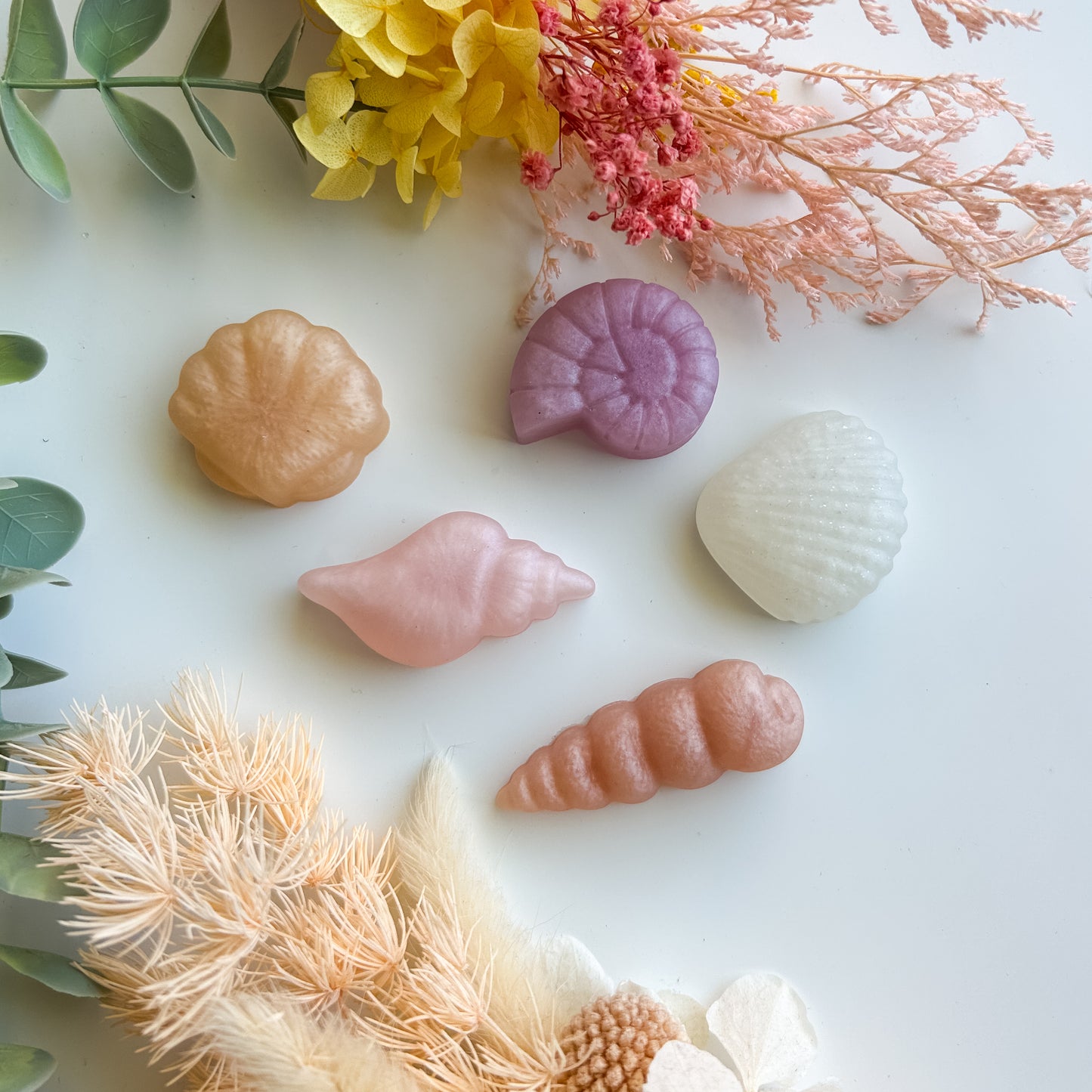 Shimmery Shells – Set of 5