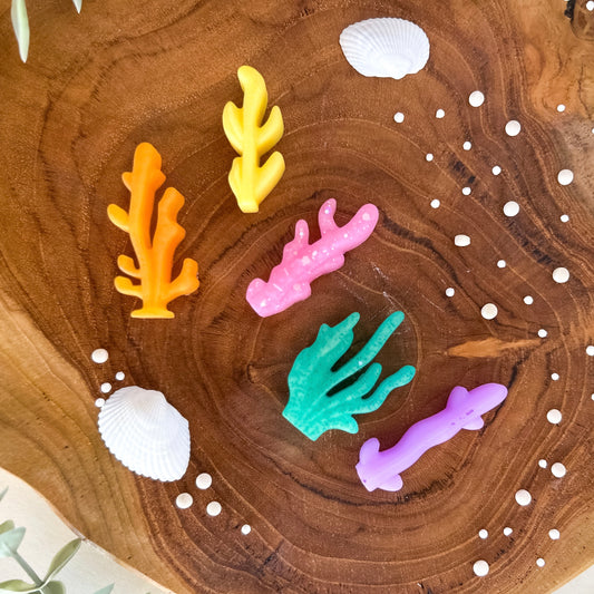 Coral Loose Parts: Pre-Order