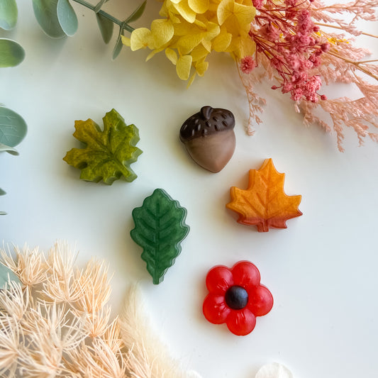Autumn Loose Parts Set