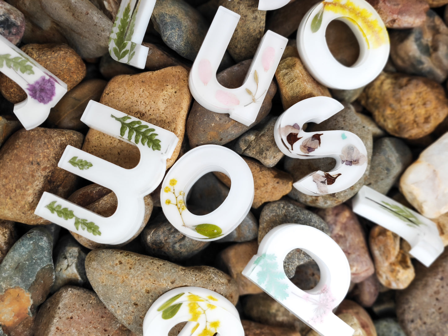 Botanicals Alphabet Set